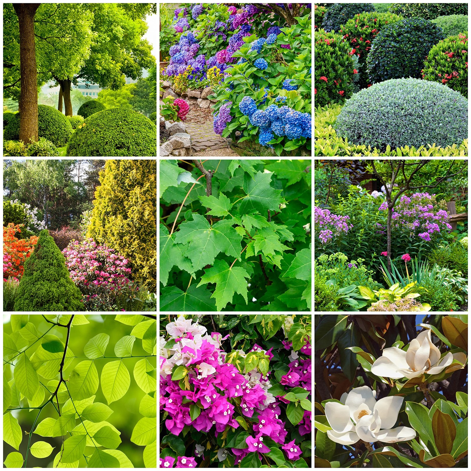 Tree & Shrub Fertilizer Spikes - 24 Count, 6 Lbs for Healthy Growth gallery