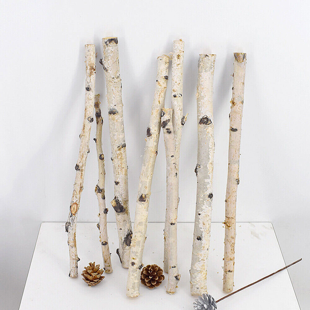 1PC Natural Dried Tree Branch Birch Stick Flower Home Garden Party Floral Decor gallery