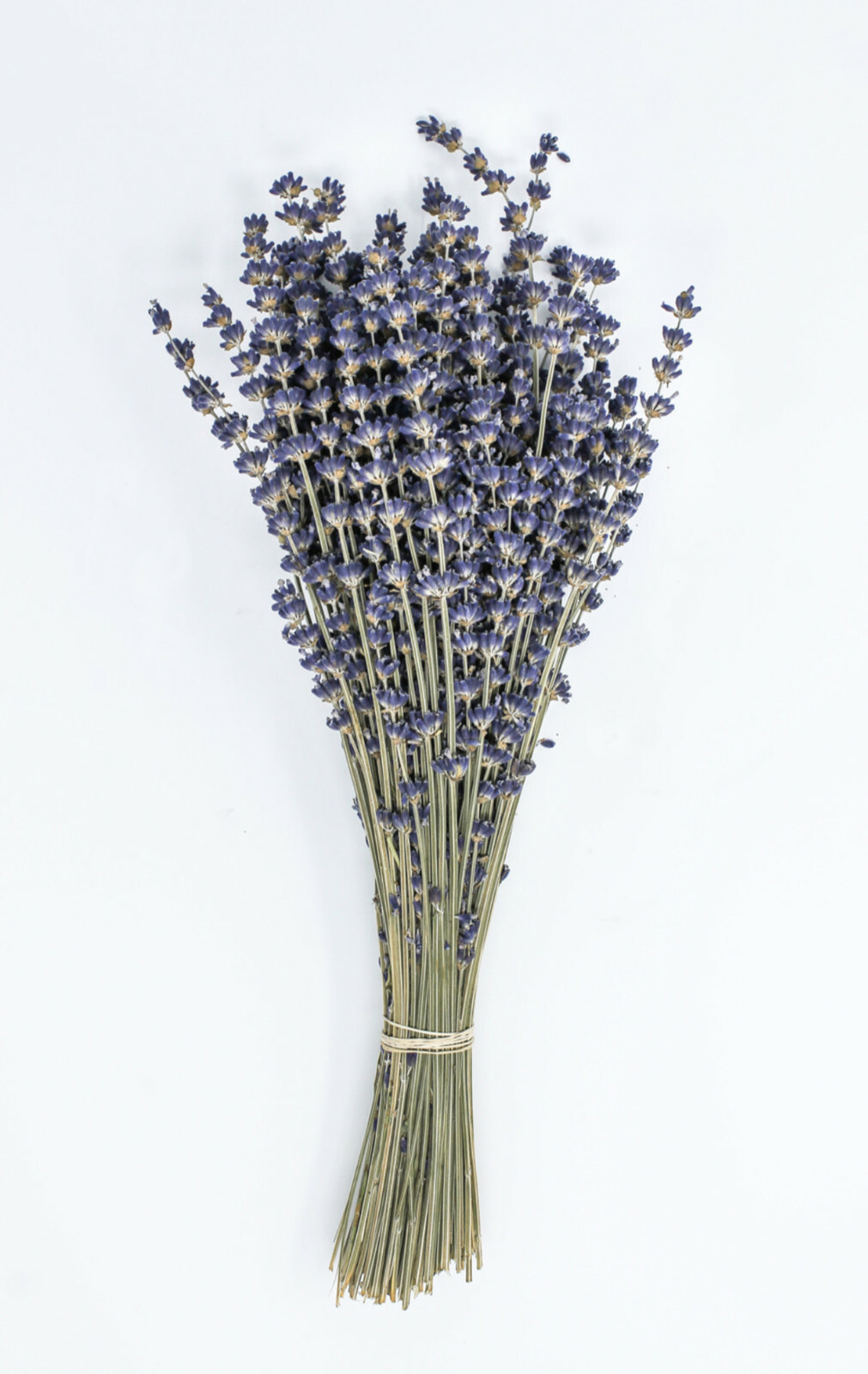 1/2 LB Natural Dried Lavender Bundle Original Natural Fragrance Preserved gallery
