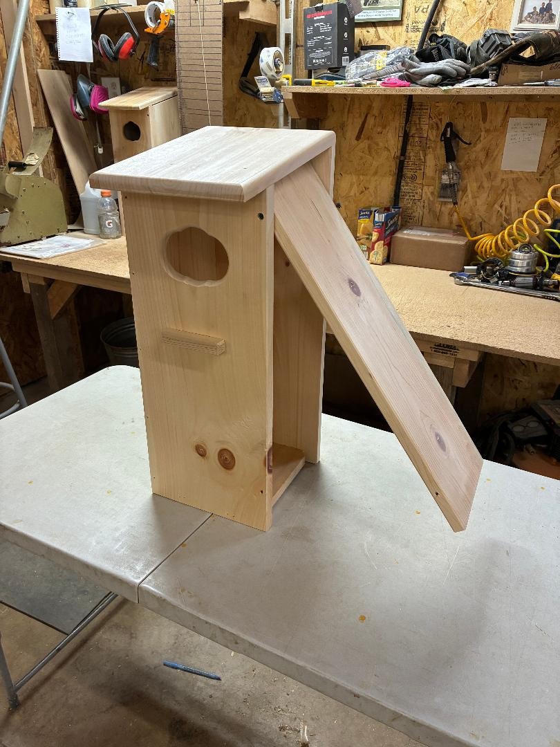 Wood duck nest box gallery