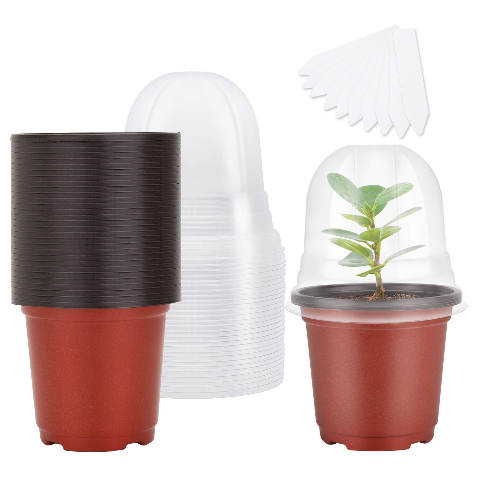 30 Sets 4 Nursery Pots with Humidity Domes Labels – Seed Starter Kit gallery