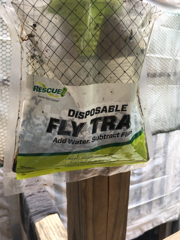 Sterling Rescue FTD-DB12 Disposable Fly Trap Made in USA ** USA Seller ** gallery