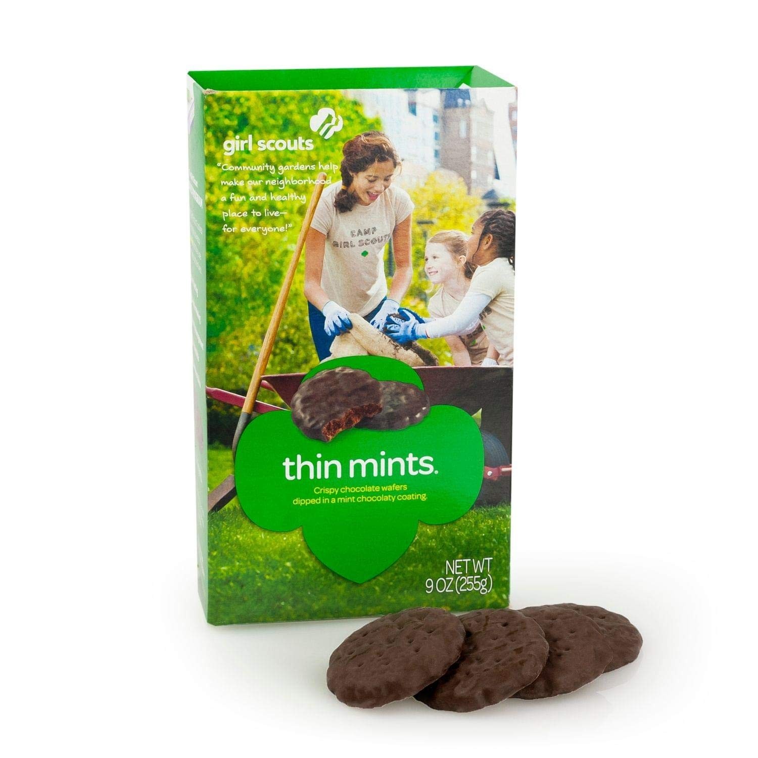 Girl Scouts Thin Mints Cookies - 9oz gallery