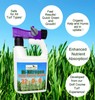 Hi-Nitrogen Kelp-Humic Blend 32-0-0 gallery