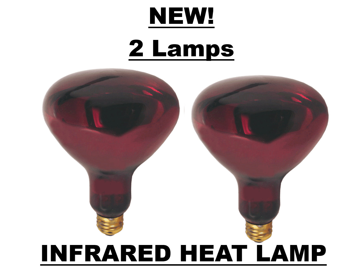 2 pc 250W Watt Infrared Chicken Coop Food Reptile Bathroom Red Heat Lamp R40 E26 gallery