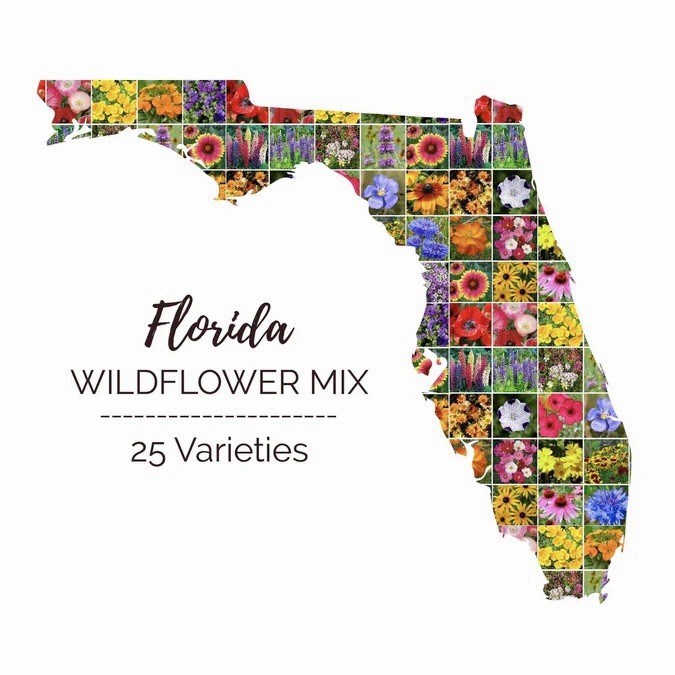 250+ Florida Wildflower Seed Mix- Perennials Annuals Non-GMO USA FAST FREE SHIP gallery