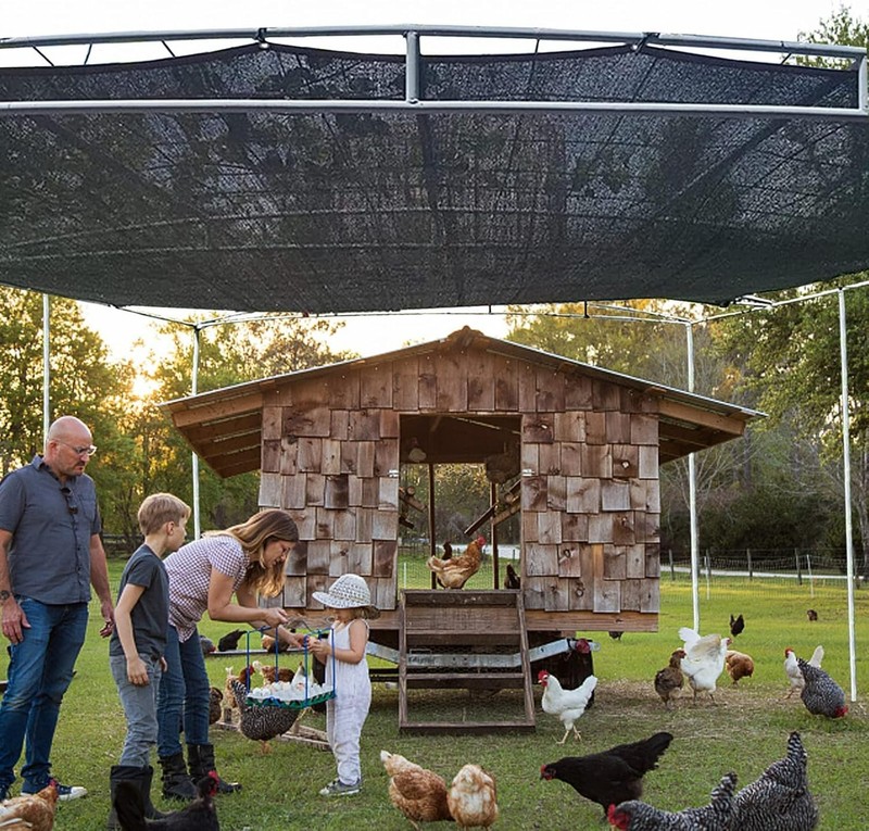 Durable 70-90% Sunblock Shade Cloth - Lightweight & Easy to Hang, 3'x6' gallery