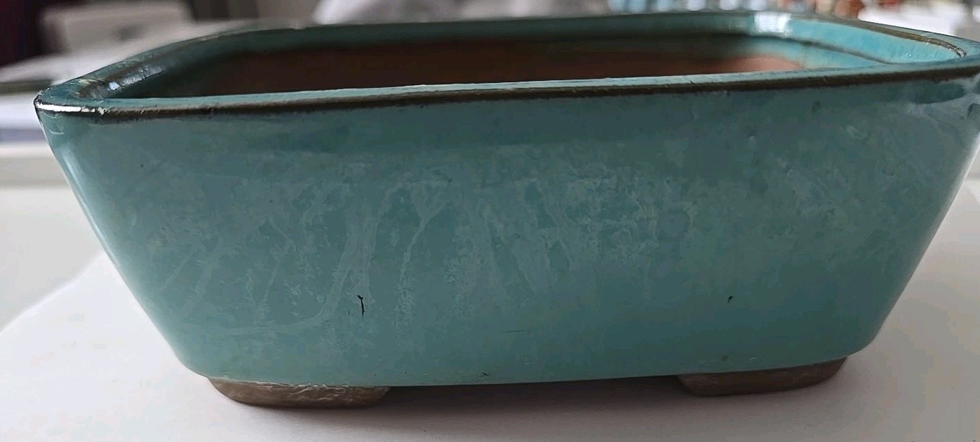 Rectangular Bonsai, Succulent Pot - Green Glazed 7" X 5 3/8" gallery