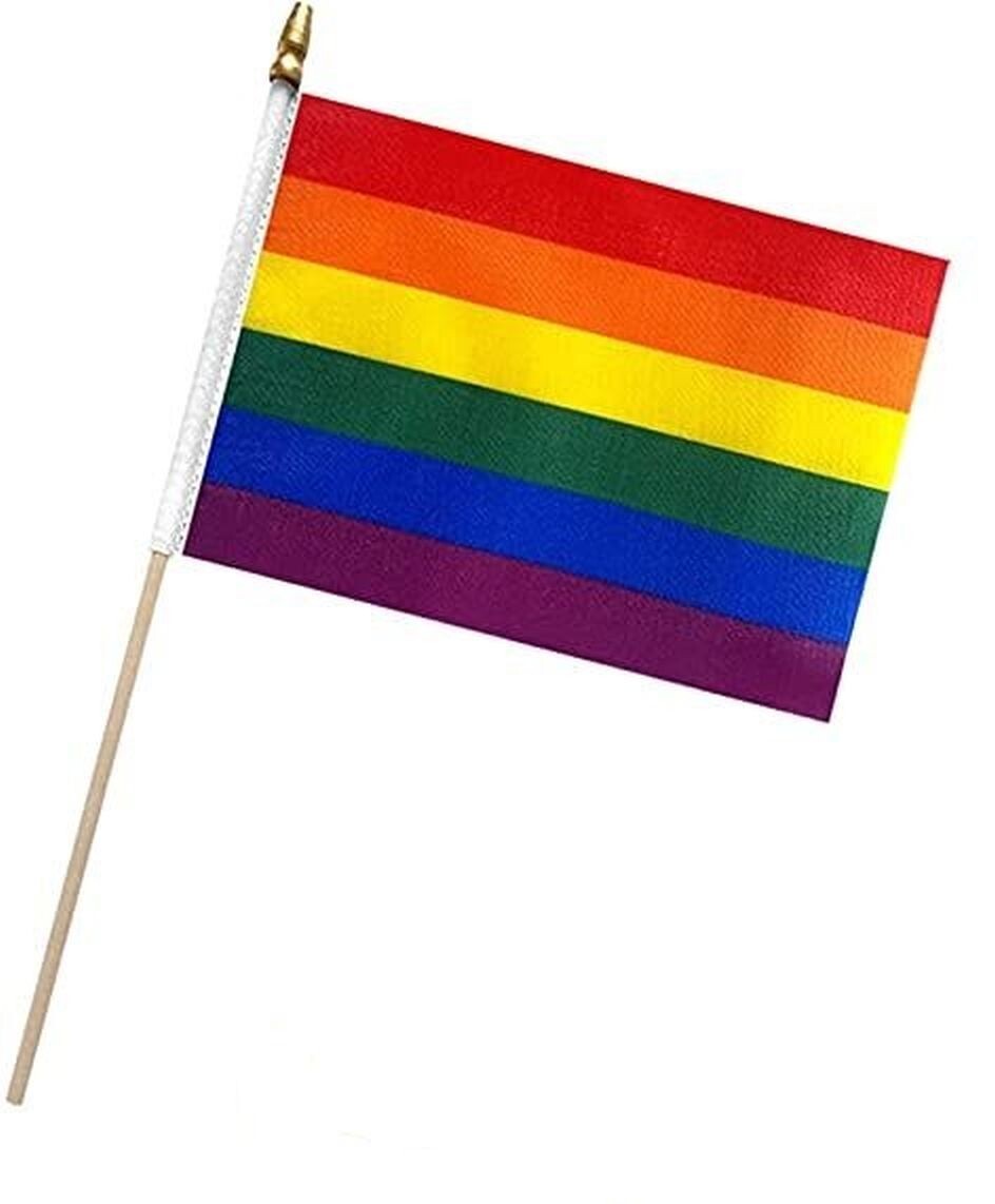 Rainbow Pride Flag 6x9 Inch 6" x 9" Hand Flag On Stick LGBTQ LGBTQIA+ gallery