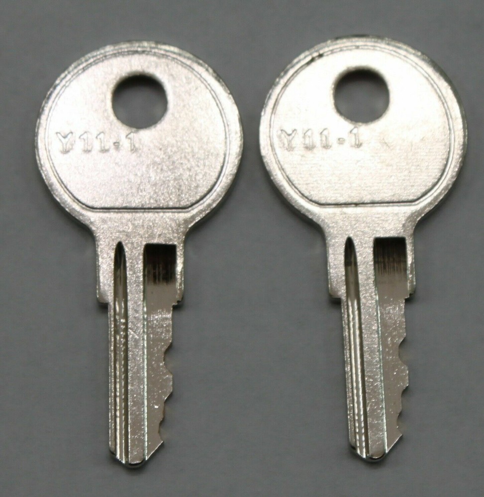 2 replacement keys cut to your code for all locks with the key code D251A-D500A