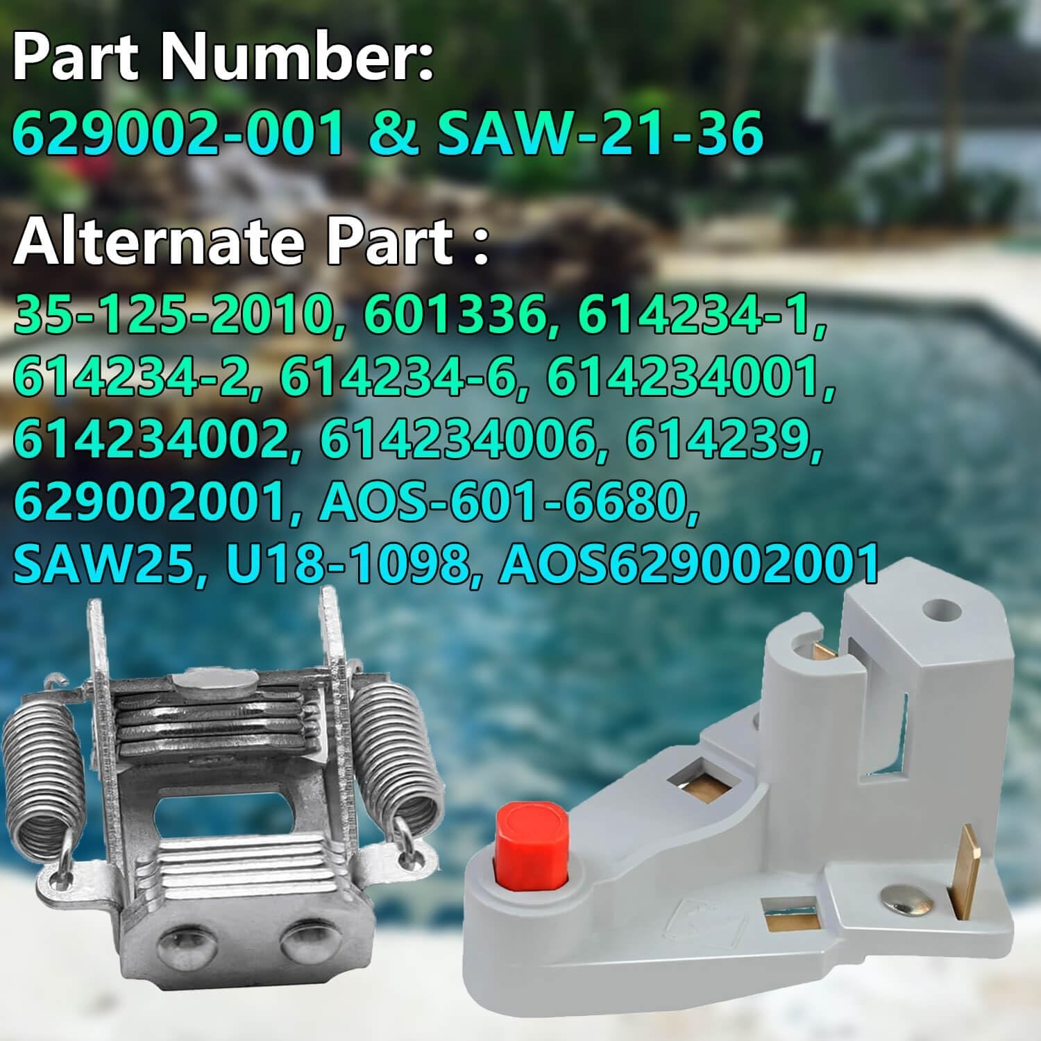 Single Speed Rotating Switch for A.O Smith Pumps - Easy Installation, Durable gallery