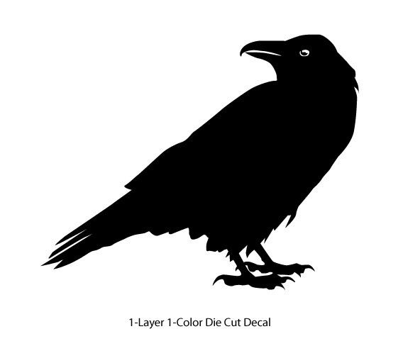 Wildlife - Birds - Staring Raven/Crow/Corvid - 6Yrs Outdoor Vinyl DieCut Sticker gallery