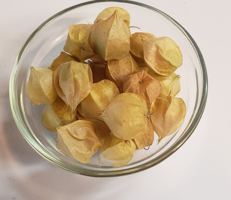 Pineapple Ground Cherry (100+ Seeds) - unique and versatile! gallery