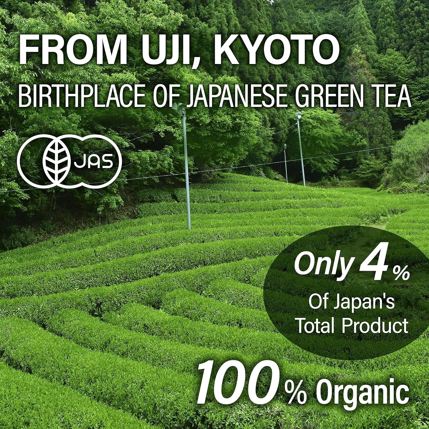 Chaganju Sencha Green Tea Loose Leaf, JAS Certified Organic Japanese Tea from Uj gallery