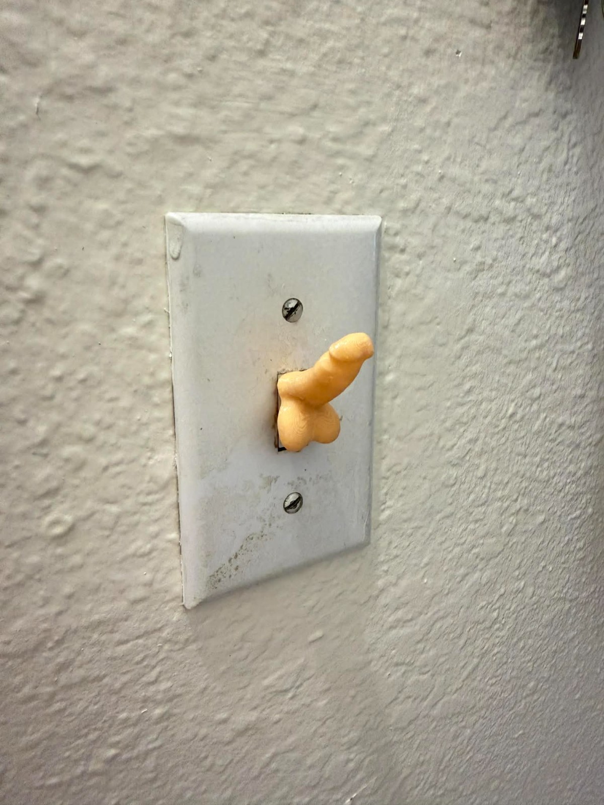 Novelty Light Switch Cap Covers – Peach, Gag Joke Gift (Set of 4) gallery