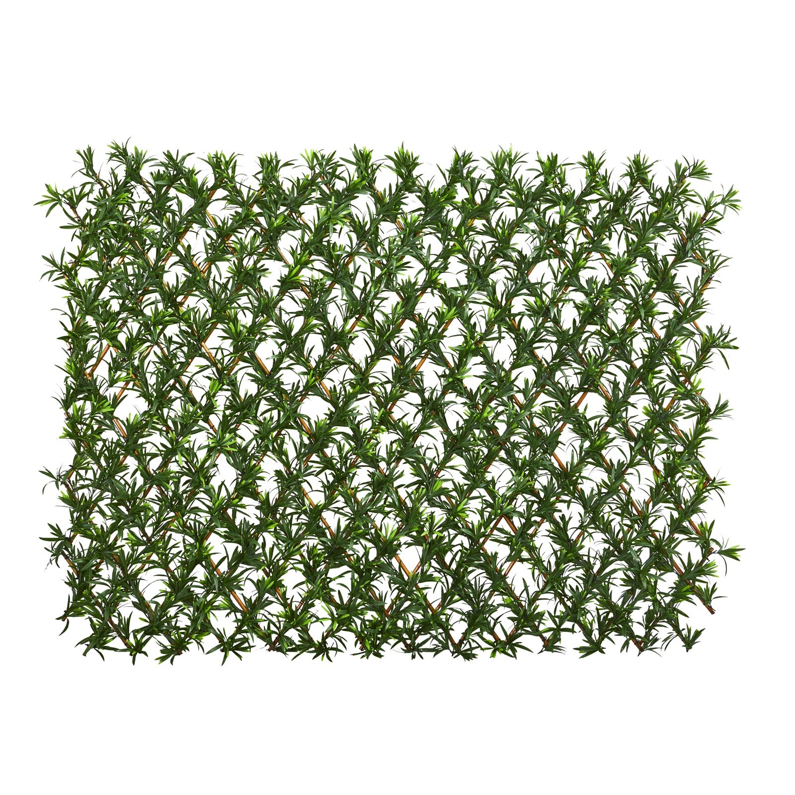 39” Podocarpus Expandable Fence UV Resistant & Waterproof Trellis. Retail $370 gallery