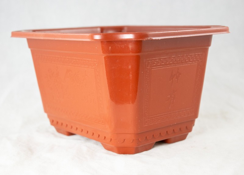 Rectangular Plastic Cactus & Succulent, Bonsai Training Tall Pot 7.25" to 17.5" gallery