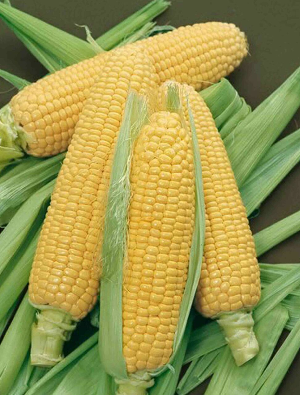 Bodacious Sweet Corn Seeds, F1 SE Hybrid, Variety Packet Sizes, FREE SHIPPING gallery