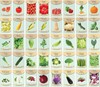 All-Ages Assorted Vegetable Seed Kit: 40 Non-GMO Packets & Guide Included gallery