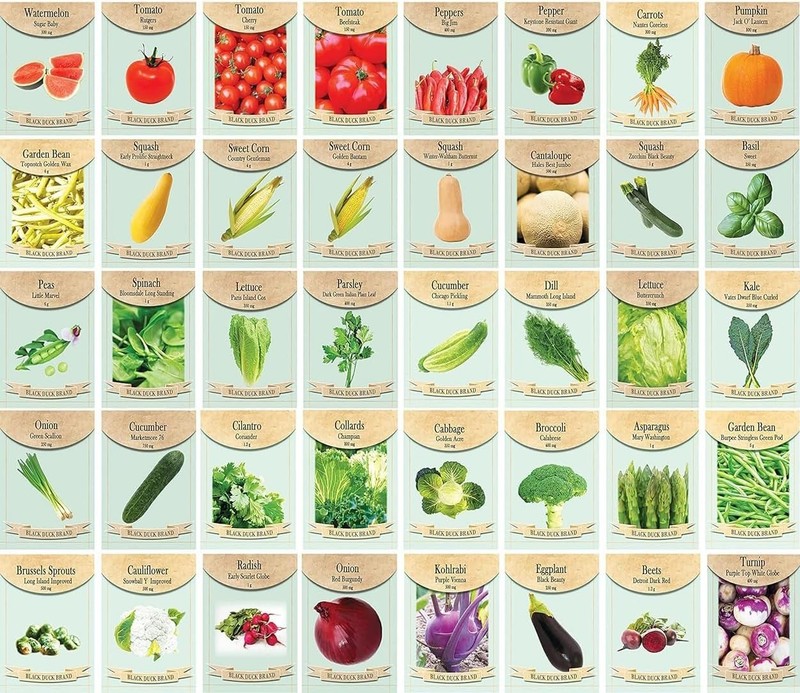 All-Ages Assorted Vegetable Seed Kit: 40 Non-GMO Packets & Guide Included gallery