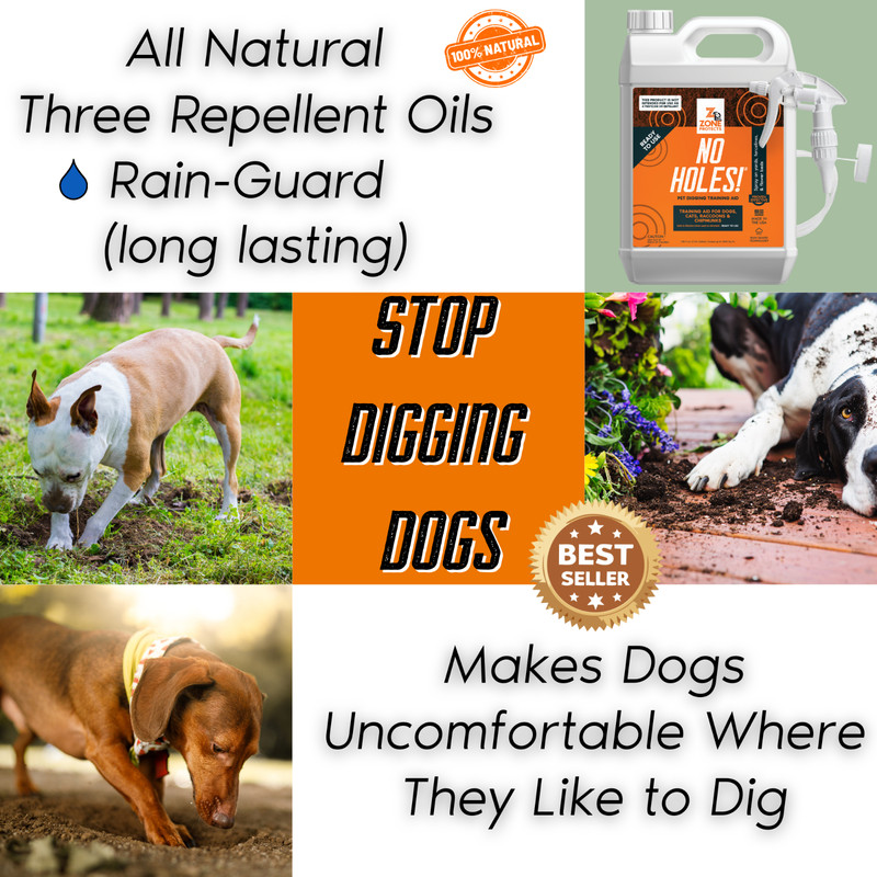 Stop Digging Dogs; Zone Protects No Holes Keeps Dogs Digging in Yards, Fences gallery