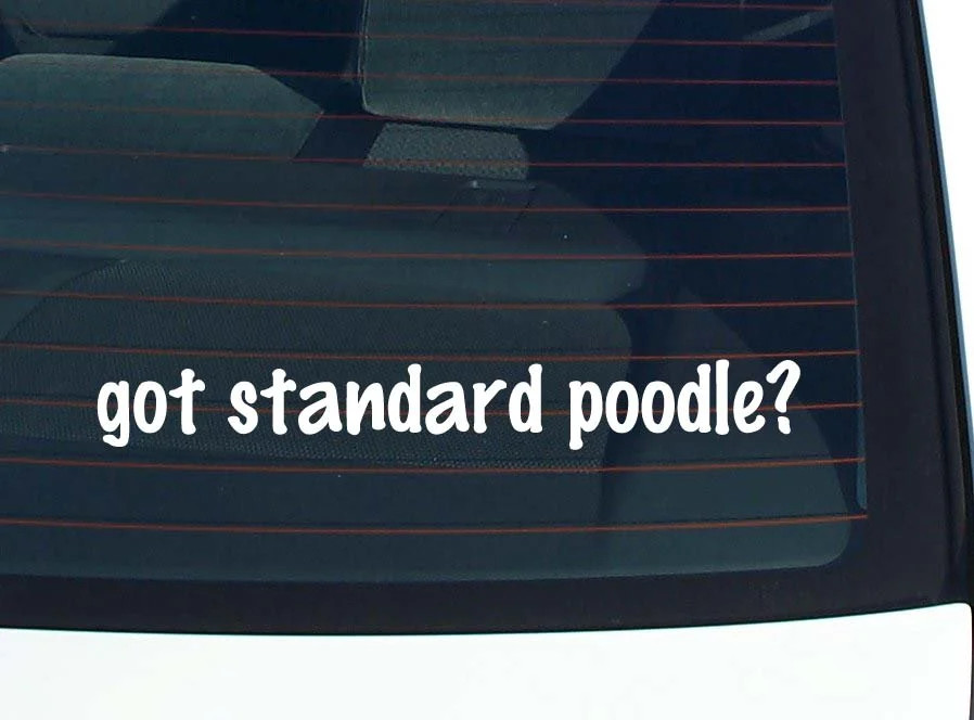 got standard poodle? CAR DECAL BUMPER STICKER VINYL FUNNY JOKE WINDOW gallery