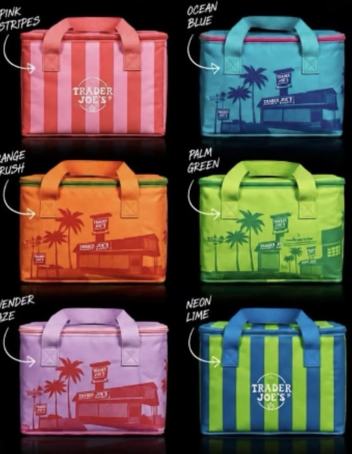Trader Joe's Striped Mini Insulated Reusable Lunch Bag w/ Handle 1.5 Gallon gallery