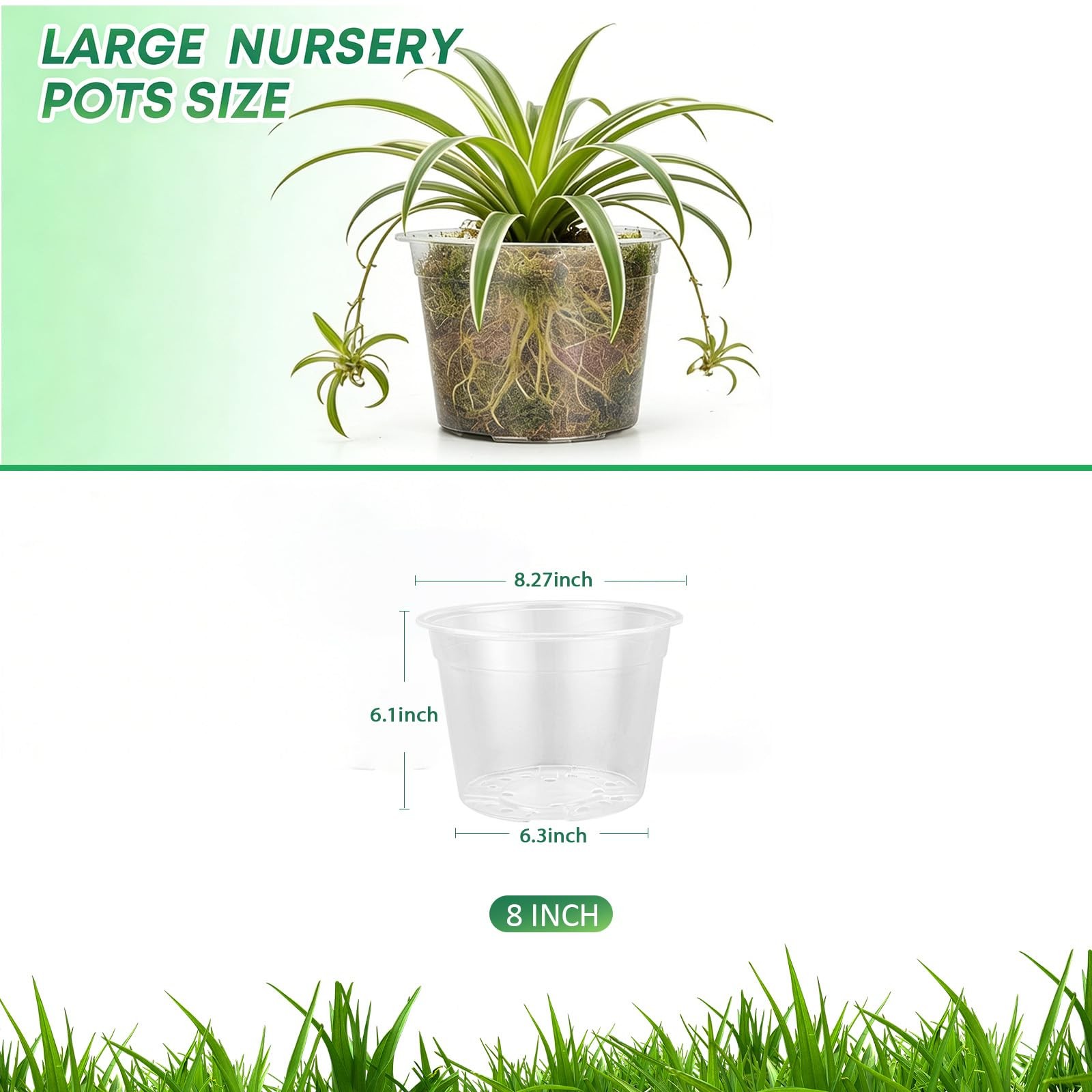 10 Pack 8 Inch Large Clear Nursery Pots with Drainage Hole, Plastic Plant Pot... gallery