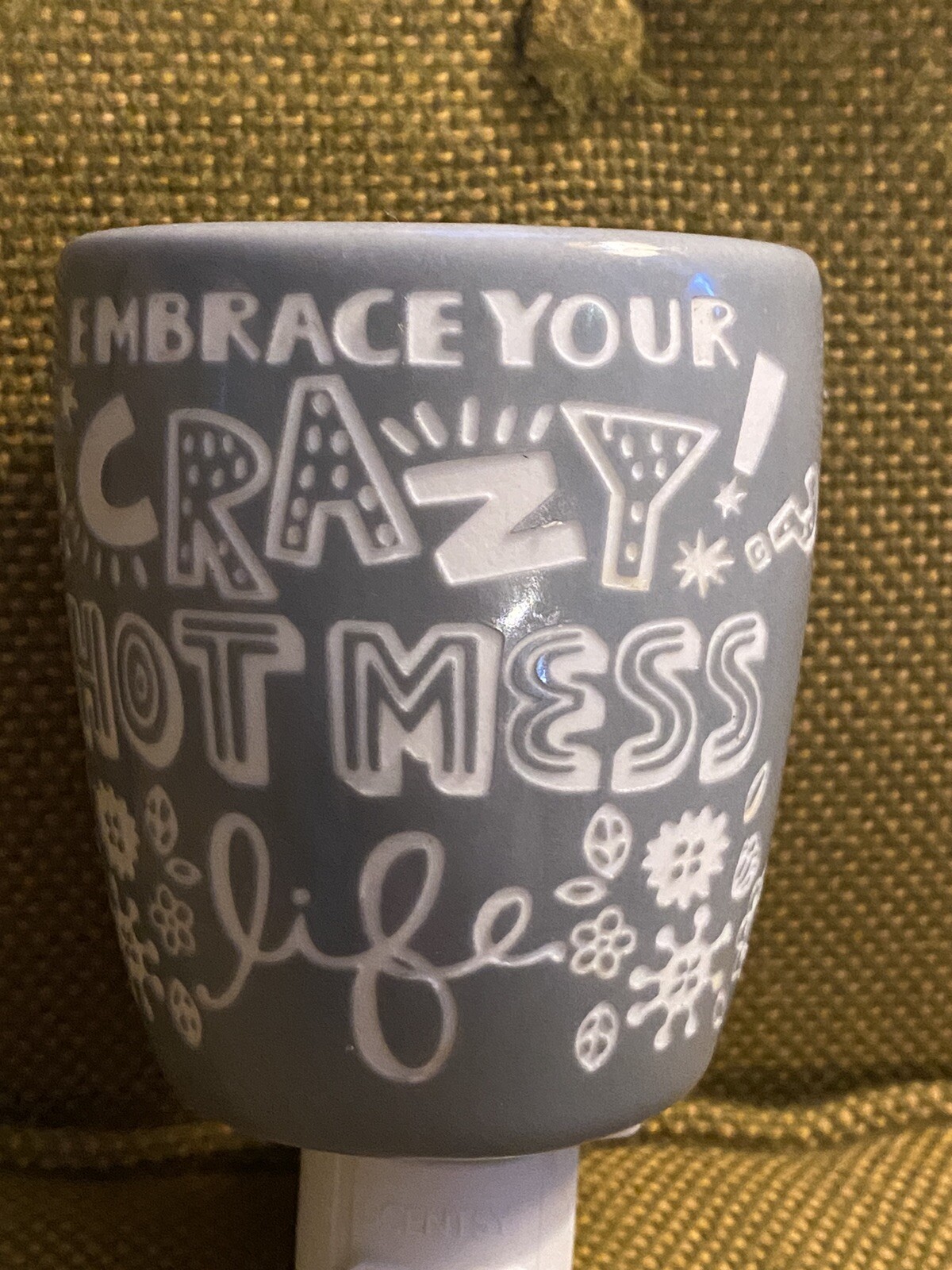 SCENTSY WALL PLUG-IN WARMER EMBRACE YOUR CRAZY HOT MESS LIFE Preowned Tested gallery