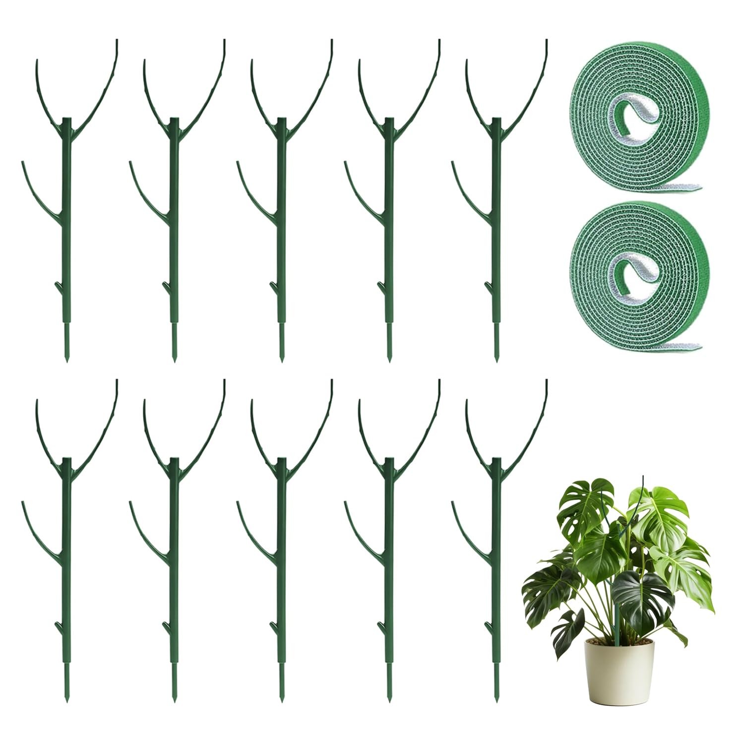 Monstera Plant Support 10 Pack Plant Sticks Support Tall 11.02 Inch Plant Sup... gallery