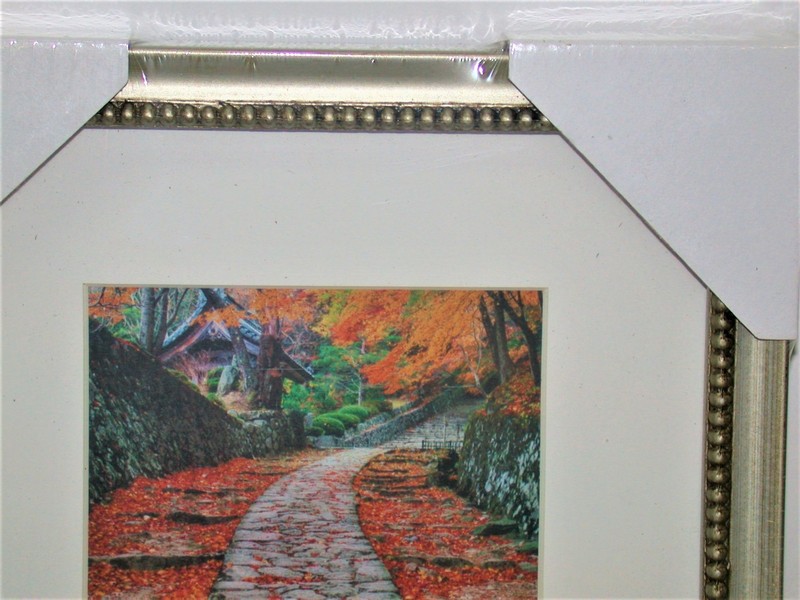 Reflections Sofia Silver Beaded Frame & Glass & Mat ~ 8x10 / 5x7 Lot 4871 NEW gallery