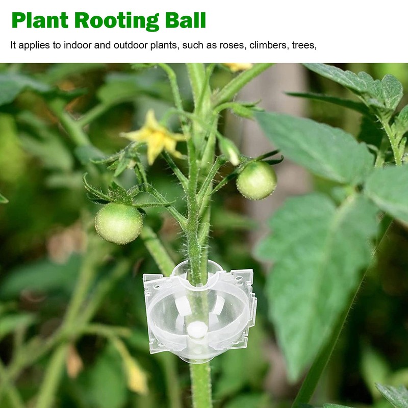 Plant Rooting Ball Grafting Rooting Growing Box Breeding Case for Garden Outdoor gallery