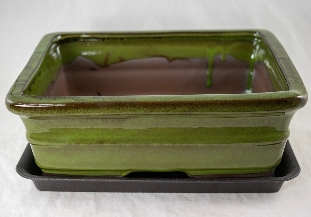 Rectangular Moss Green Succulent, Bonsai Pot + Tray + Mesh - 10"x 8"x 3.25"