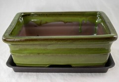 Rectangular Moss Green Succulent, Bonsai Pot + Tray + Mesh – 10″x 8″x 3.25″