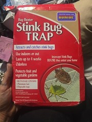 Bonide Stink Bug Trap