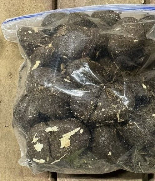 4+ pounds Fresh All Purpose Horse Manure - Organic Gardening Fertilizer Flowers gallery