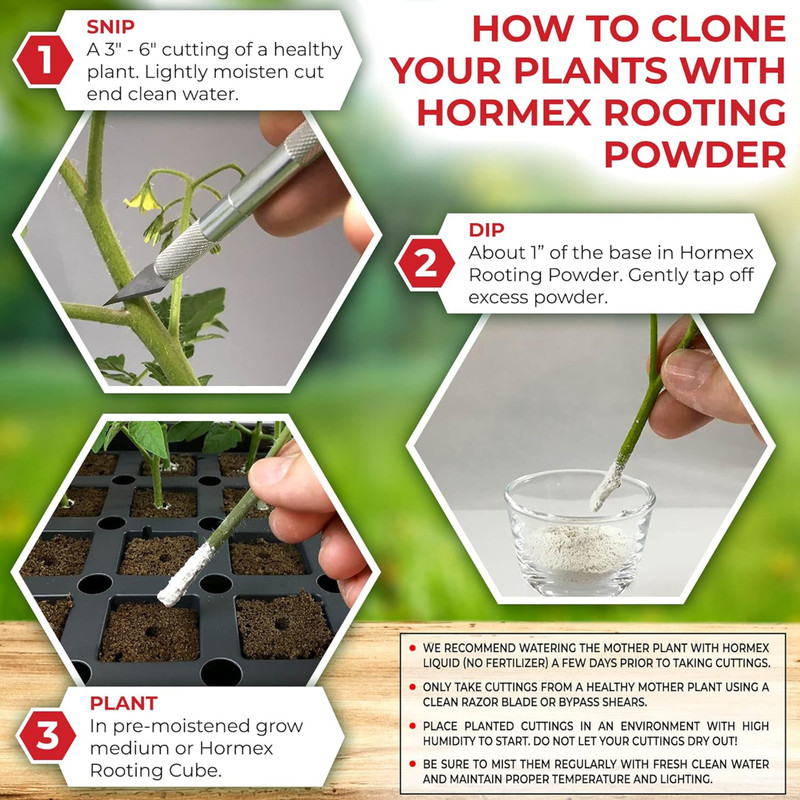 Hormex Rooting Powder #3, 8, 16 Pack - Easy to Difficult to Root Woody Plants gallery