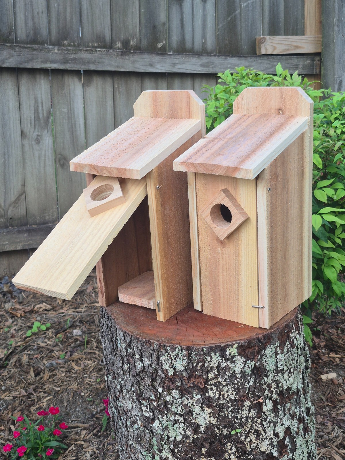 2 Cedar Wood Bluebird House Rustic Nest Box gallery