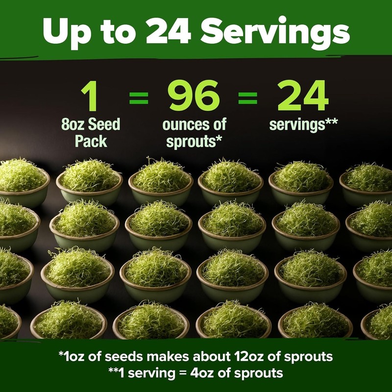 Broccoli Sprouting & Microgreens Seeds - 64,200 Non-GMO Heirloom gallery