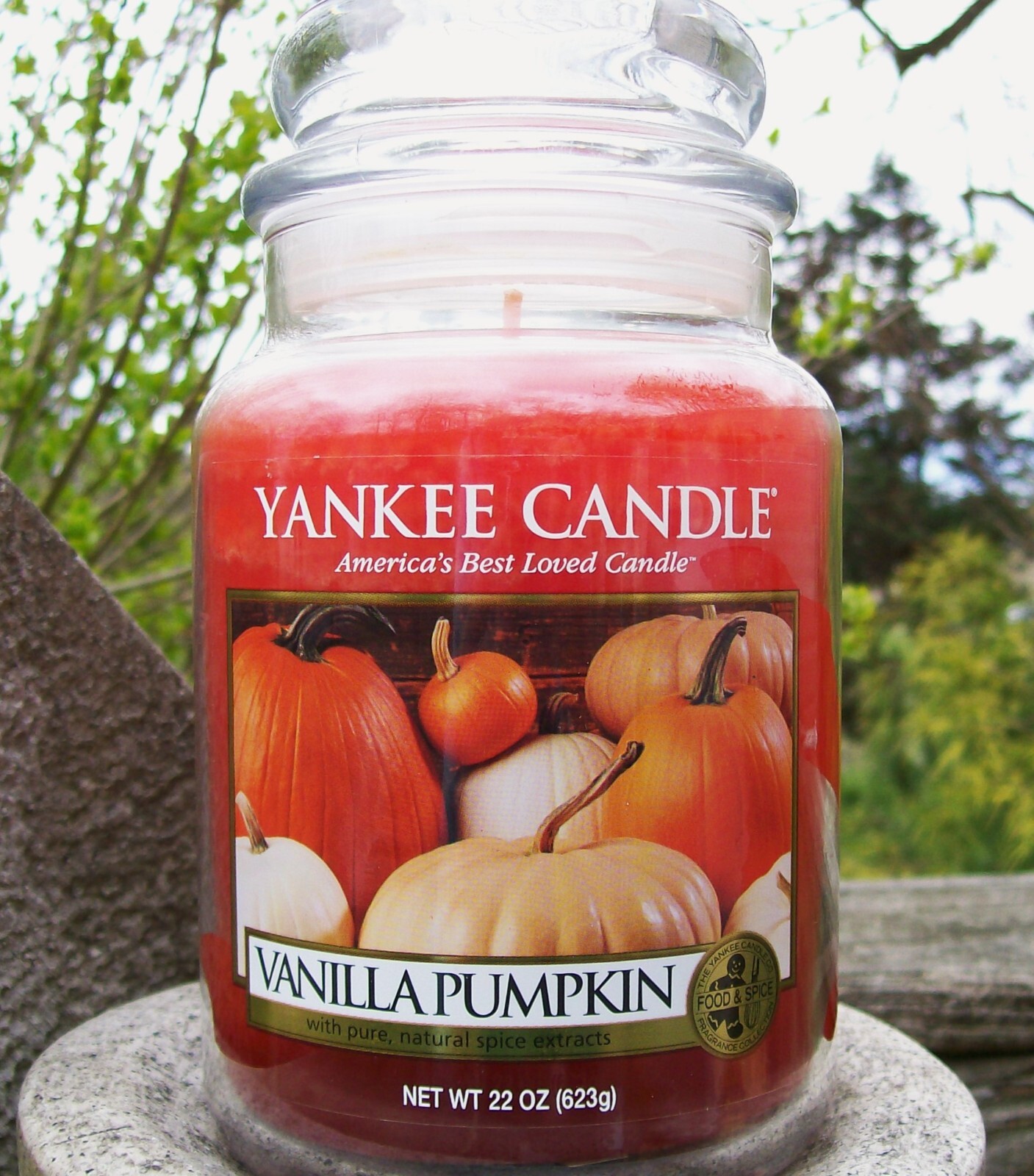 Yankee Candle Retired "VANILLA PUMPKIN" Food ~Large 22 oz. ~WHITE LABEL~RARE~NEW gallery