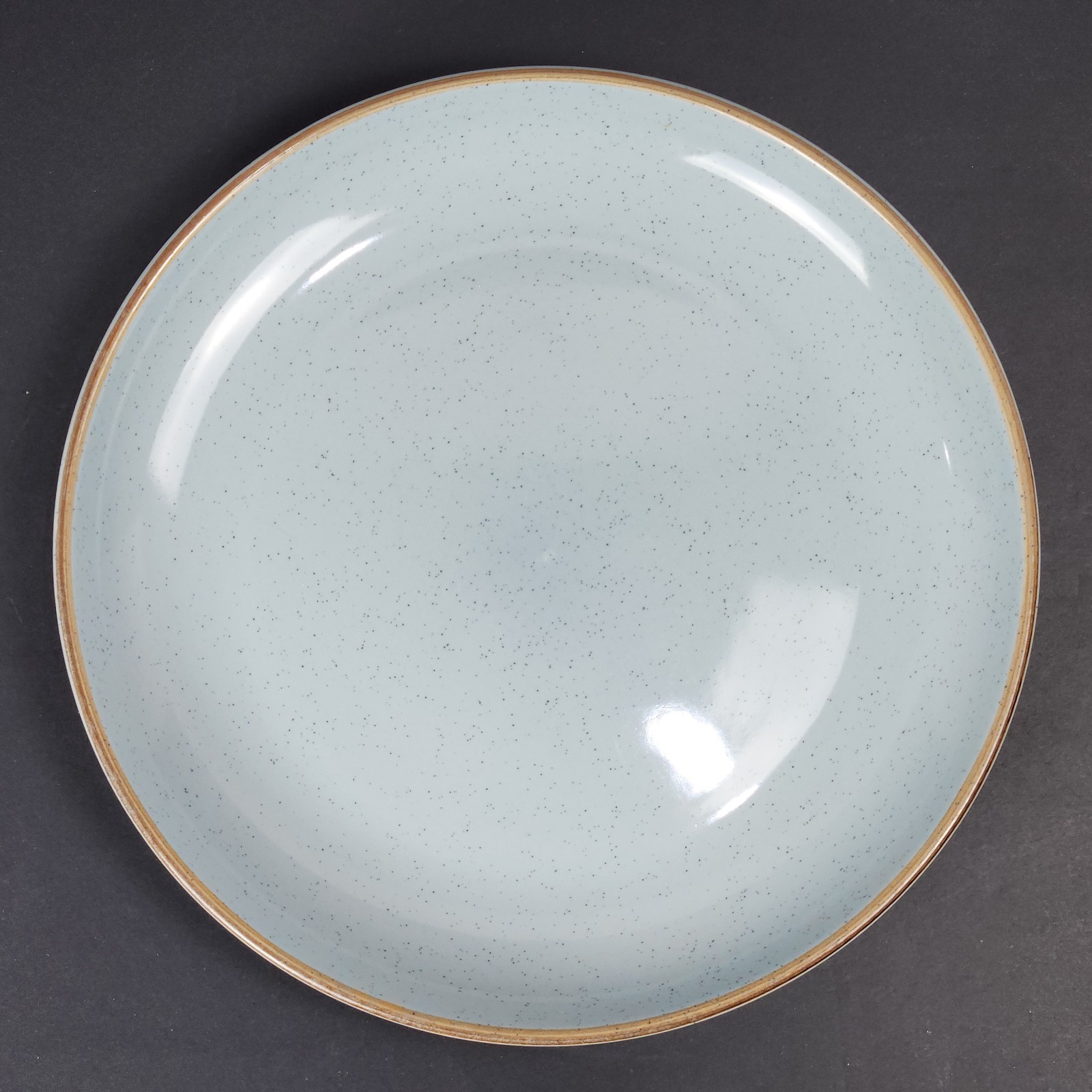 Over and Back Options Speckled Blue Coupe Brown Trim - 10-1/2" Dinner Plate gallery
