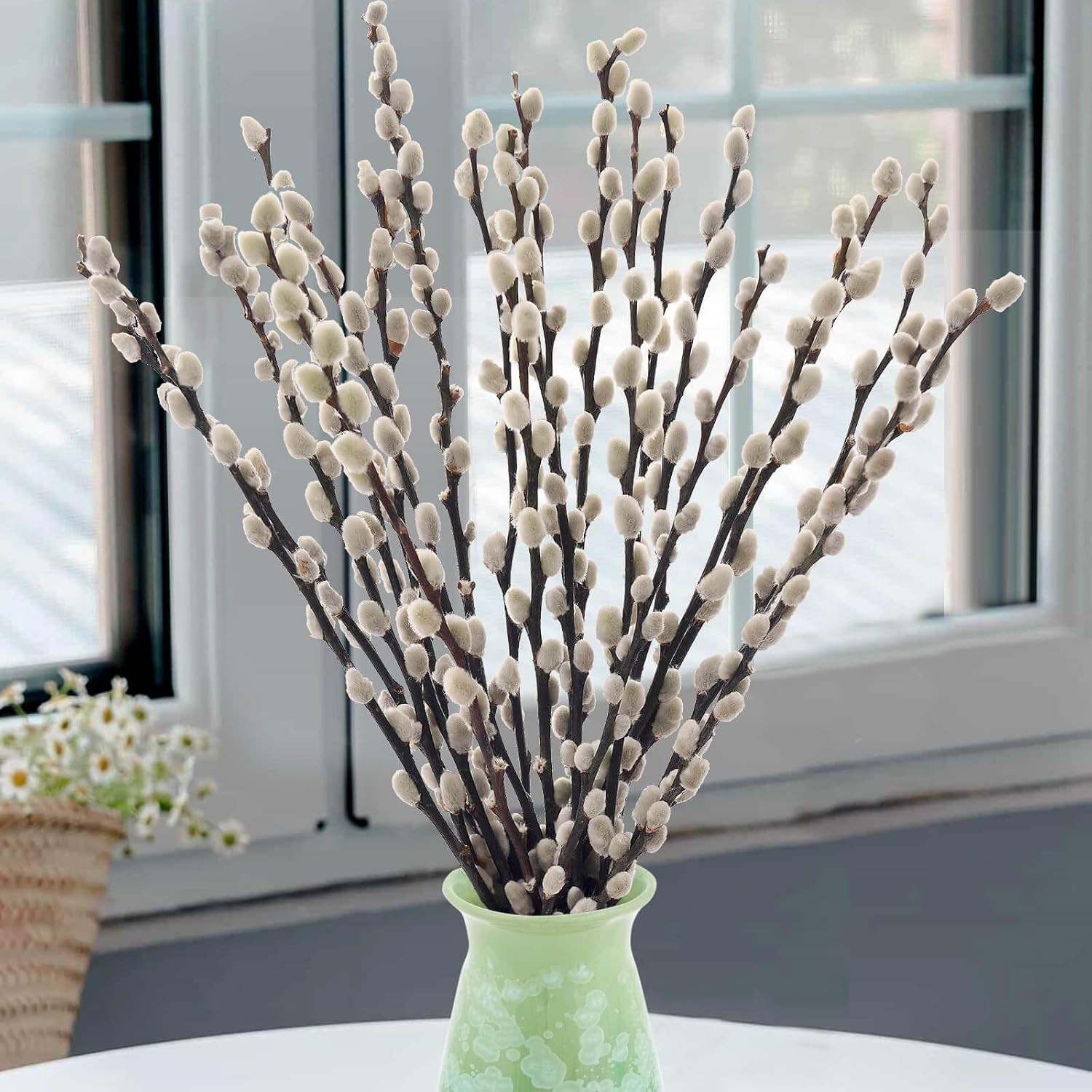 20 Stems Real Dried Pussywillow Preserved Greenery Branches for Vase- Natural Pu gallery