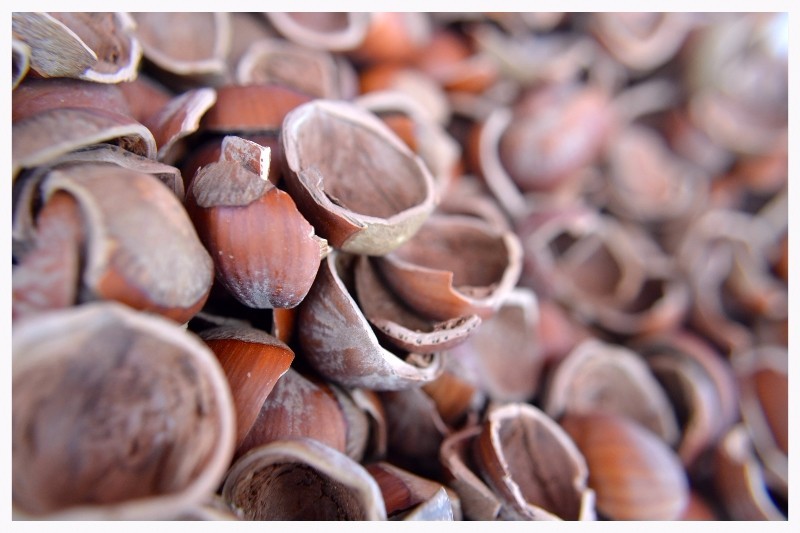 Hazel Shell Mulch - Amendment Product - 6 lbs. gallery