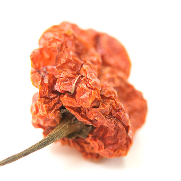 Scotch Bonnet Pepper | Bulk | Spice Jungle gallery