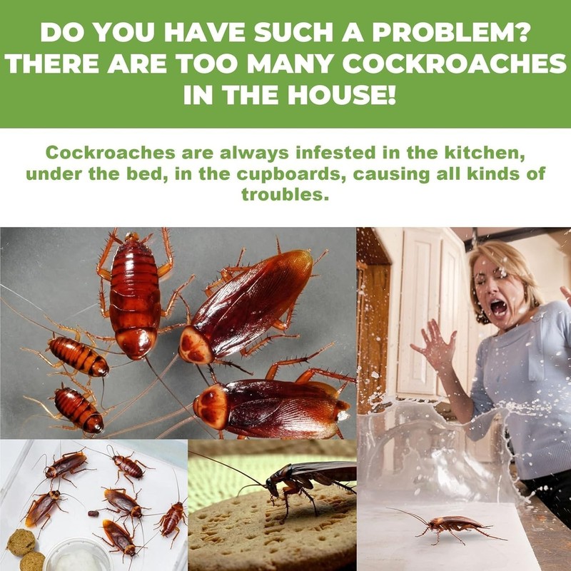 36PCS/Pack Roach Bait - Cockroach Killer Indoor Infestation gallery