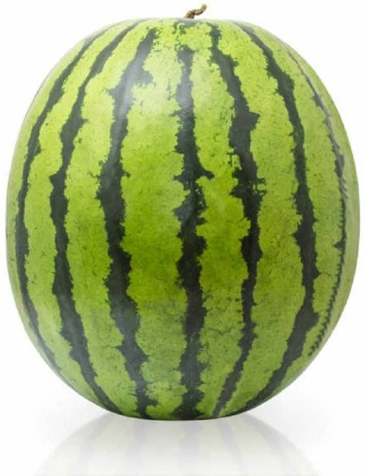Watermelon Seeds, Florida Giant Watermelon Seeds,"COOL BEANS N SPROUTS" Brand. gallery