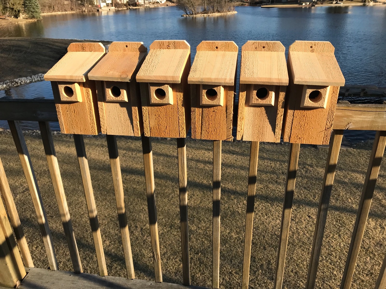 Cedar Bluebird Bird House 3/4" THICK Cedar Birdhouse! Predator Guard TOP SELLER gallery