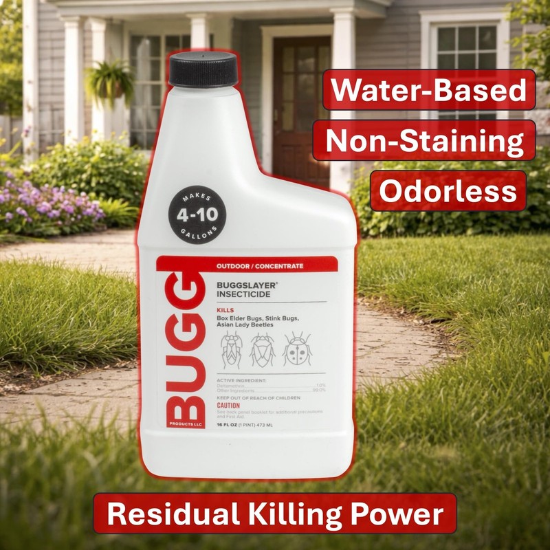 - Concentrate - Outdoor Box Elder Bugs, Stink Bugs, Asian Lady - 16 oz Bottle gallery