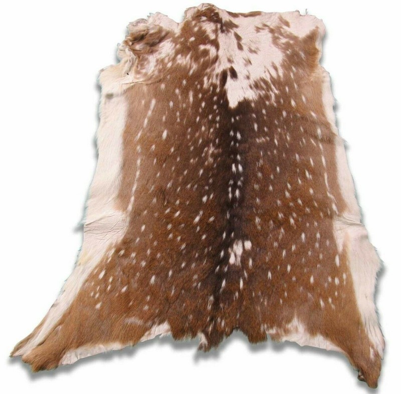 Axis Deer Skin Second Grade -Axis Deer Hide Size: 38"X30" Cheetal deer buck hide gallery