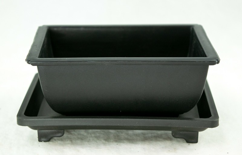 4 Sets Plastic Cactus Succulent Planter Bonsai Training Pot + Tray 5"x 3.5"x 2" gallery